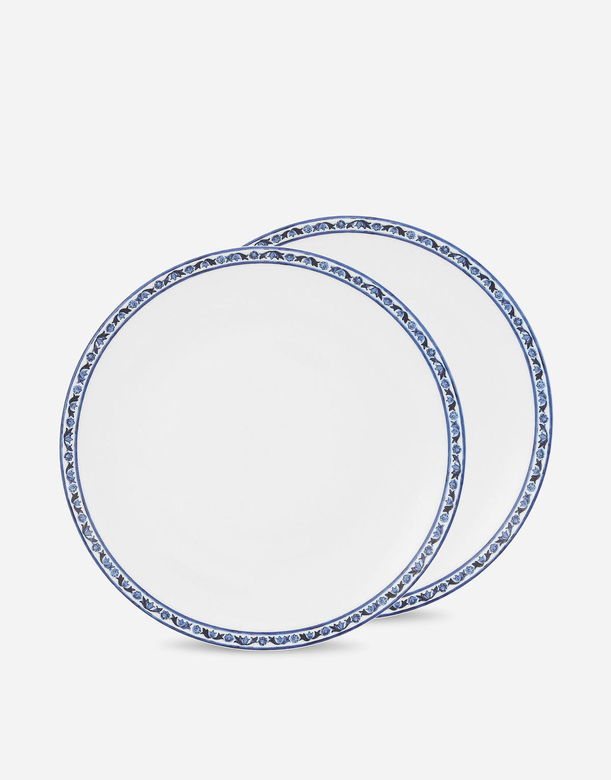 Set of 2 Porcelain Dinner Plates